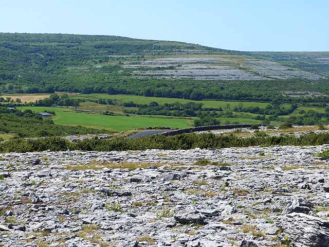 A photo of Burren. The photo was taken from the crest of a hill and looks out onto a landscape of gently rolling hills covered in fields and trees. The ground in the foreground is rocky with small patches of grass; farther on, the fields and trees dominate. 