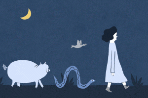 Lilli Carre, illustration, Tippy and the Night Parade, http://lillicarre.com/