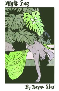 Night Hag cover image via Protein Books