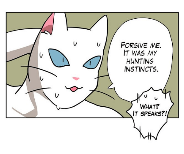 Meow Man chapter 1, Webtoon, Olso translated by Dami Lee