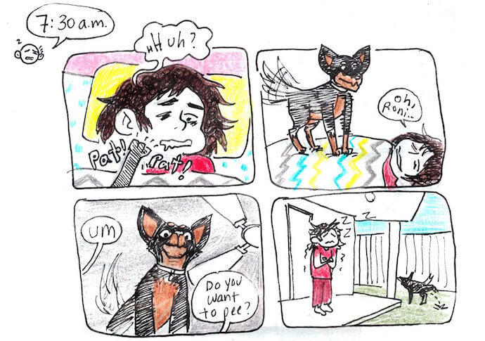 Kat Fajardo is woken up by their dog, in panels from their 2020 Hourly Comics. From Fajardo's twitter.