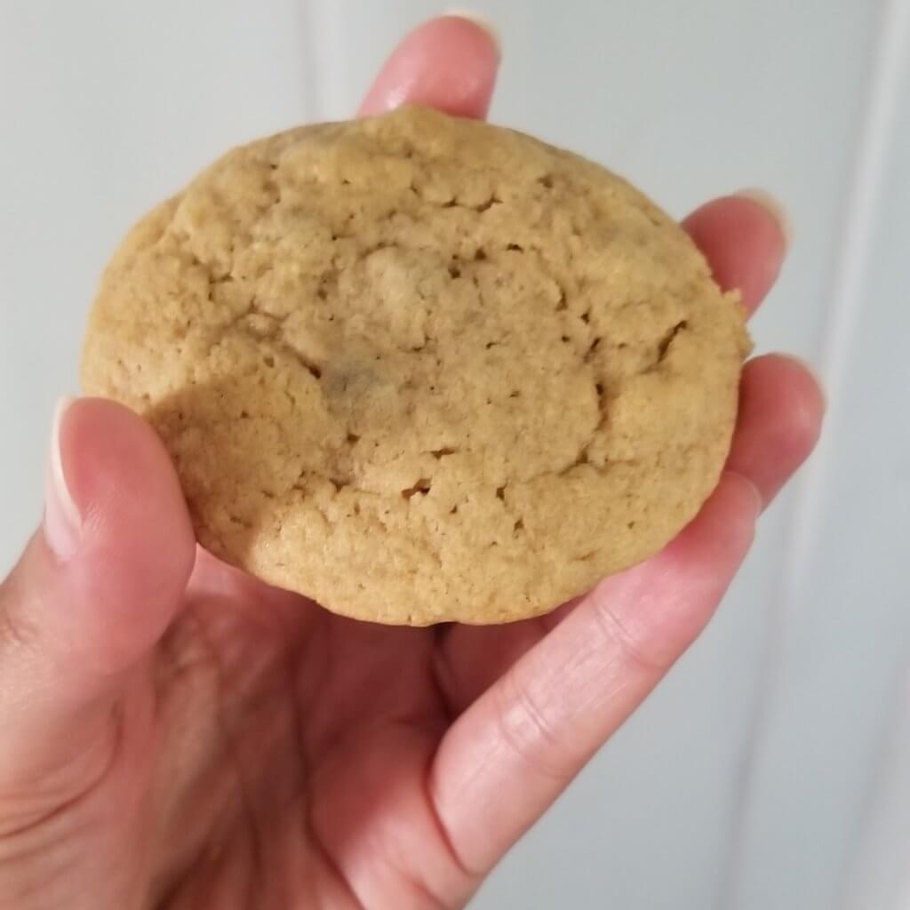 A hand holding a cookie