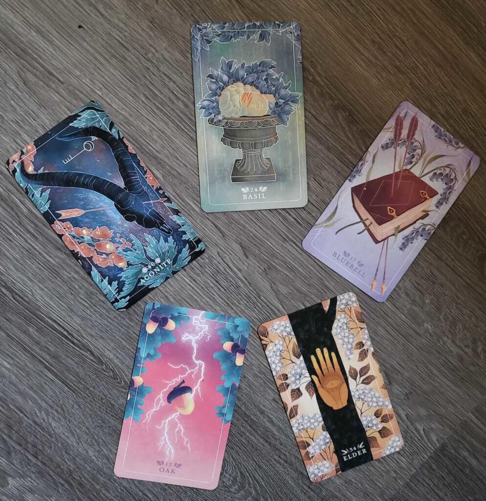 A 5 card Spring Equinox spread featuring the following cards: Basil, Agonite, Bluebell, Oak, Elder