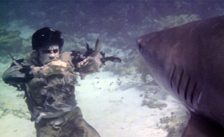 Still from Lucio Fulci's film Zombi 2, showing a zombie fighting a shark.